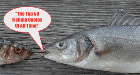funny fish quotes sayings